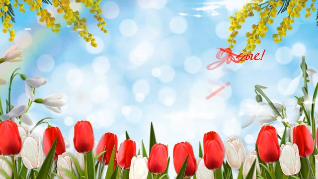 Поздравления для милых женщин от оптики "Аргос" смотреть онлайн