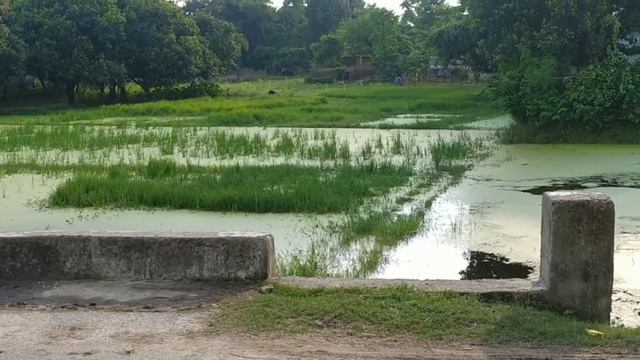 Darbhanga district Most beautiful! Pindaruch village смотреть онлайн