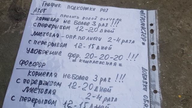 Обязательная Подкормка роз на бутонах,для пышного цветения 17 мая 2021 года смотреть онлайн