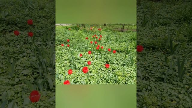 ДЕСЯТЬ ЗАПОВЕДЕЙ ДЛЯ РОДИТЕЛЕЙ смотреть онлайн