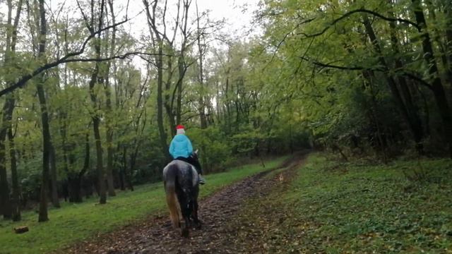 Отдых на природе: катание на лошадях смотреть онлайн