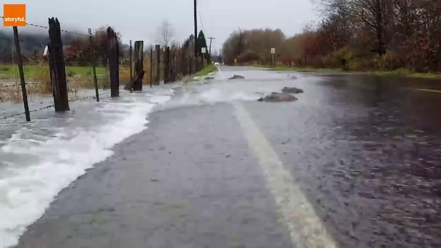 рыба против течения.mp4 смотреть онлайн