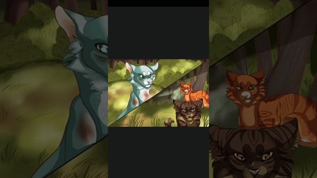 Коты Воители. Песня это не любовь