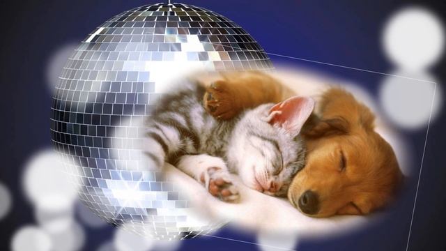 Наши шалуны!