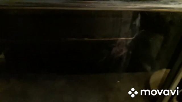 №179#РИСОВЫЙ ПУДИНГ С ТВОРОГОМ..#Готовим Дома смотреть онлайн