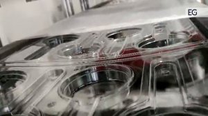 Машина для производства пищевых контейнеров RX-550 350
