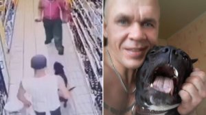 Череп вновь вывел питбуля "на тропу войны" Real Video