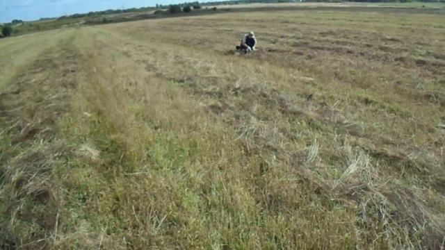 Встреча с быдлами камрадами Поиск золота смотреть онлайн