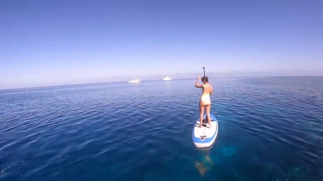 AMAZING encounter with BABY WHALE (Learning By Doing Ep189) смотреть онлайн