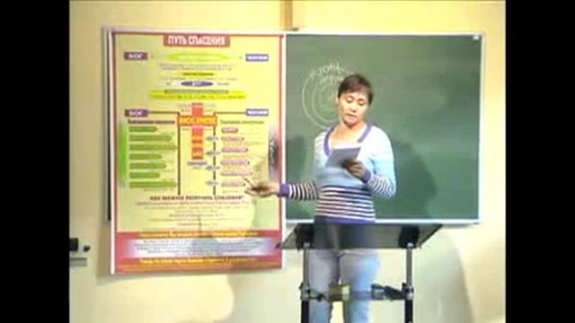 Основы Обучения Урок 1 Света смотреть онлайн