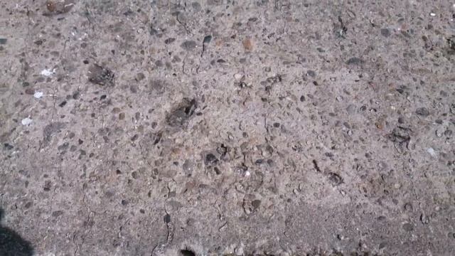 Impermeabilizant Beton/suprafetele Minerale Protect Hydro