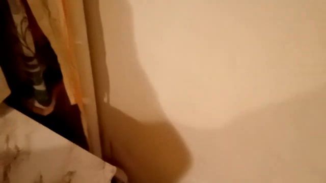 Укрепление иммунитета и здоровья пророщенная пшеница рожь или ячмень смотреть онлайн