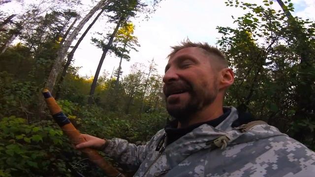 РЕВ ИЗЮБРЯ. Ореховая лихорадка, приехали на табор. смотреть онлайн