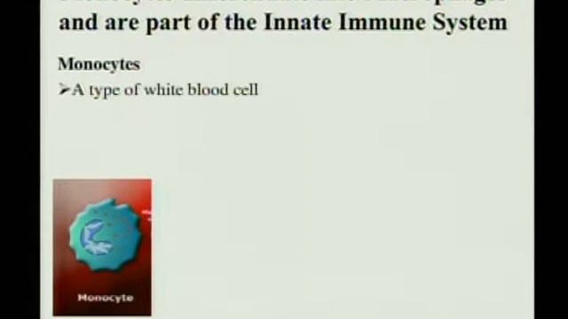 International Space Programs Review, Part 3 смотреть онлайн