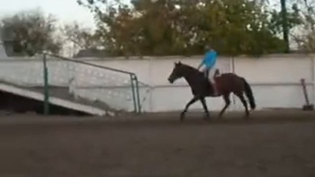 Аврора смотреть онлайн