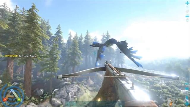 Ark Tek Quetzal (Quetz) Taming Guide: How to find Bionic Quetz and the best methods for taming them смотреть онлайн