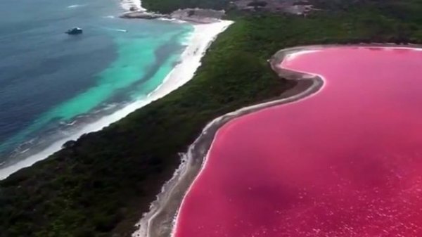 Lake Hiller ll Pink Lake  ll Amazing Places In The World