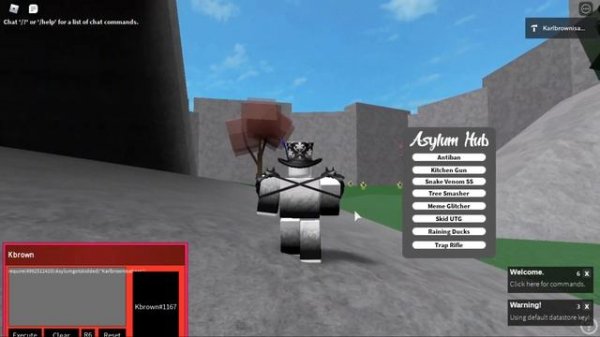 Roblox Asylum Hub Script Gui Showcase