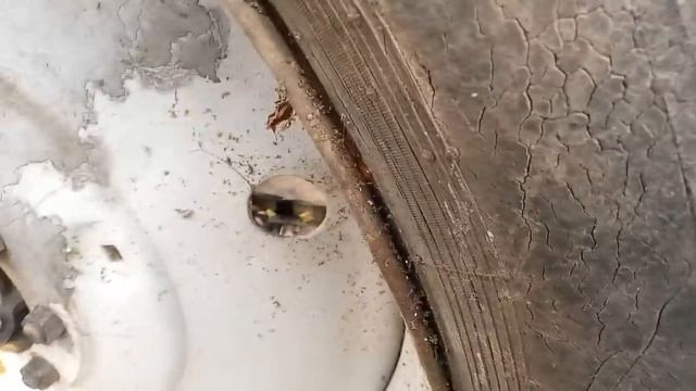 китайская резина на трактор МТЗ-80 ARMOUR 15.5 смотреть онлайн