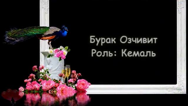 Kara Sevda ЧЁРНАЯ ЛЮБОВЬ – СВАДЬБЫ АКТЕРОВ! – Интригующие кадры! – Бурак Озчивит – Неслихан Атагюль