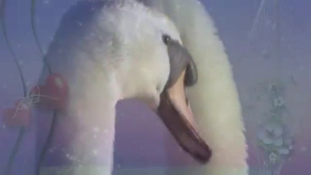 видео поздравления на день рождения 30 лет смотреть онлайн