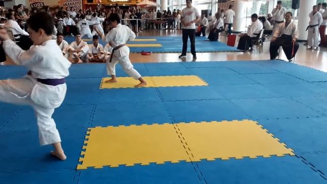 XXX CAMPEONATO PARAENSE DE KARATÊ TRADICIONAL 2019 смотреть онлайн