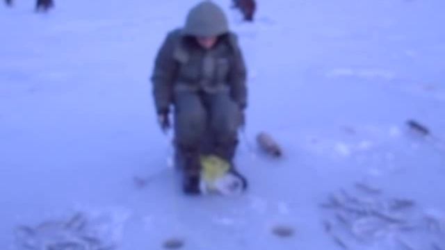 Тестирую свою прикормку на Корюшку