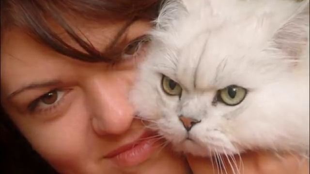 ПОЧЕМУ ЛЮДИ ЛЮБЯТ КОШЕК WHY PEOPLE LOVE CATS смотреть онлайн
