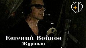 ЖУРАВЛИ - Евгений Войнов