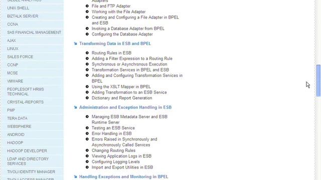 Oracle BPEL Course Content - Oracle BPEL Online Training - Crescent IT Solutions смотреть онлайн