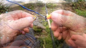 Metod feeder. Пробую ловить в первый раз.