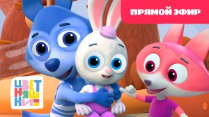 ?Цветняшки - День с любимыми героями -  Прямой Эфир - Колыбельные для детей?