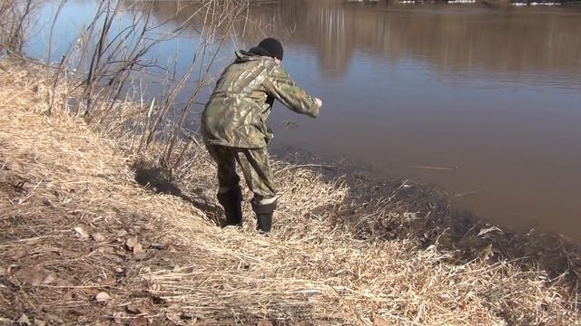 Весенний налим.