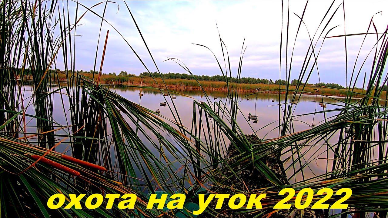 ТЯЖЁЛАЯ ОХОТА НА УТОК НА ВОЛГЕ!!! Охота на уток 2022!!!РОЗЫГРЫШ ФОНАРЯ ARMYTEK смотреть онлайн