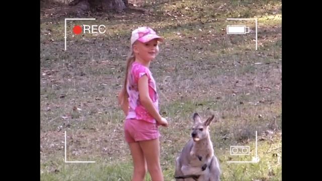 Сафари в Австралии, кормлю жирафов, аллигатора и кенгуру! смотреть онлайн