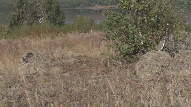 Южный Урал Засуха 2021 год Озеро Узункуль смотреть онлайн