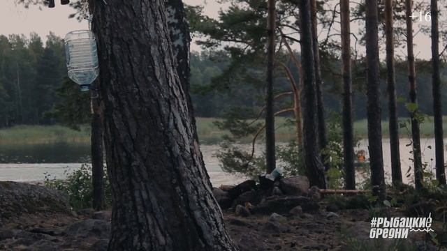 Судак атакует ногу. Что делать если крючки попали в ногу. Рыбалка на судака с лодки. смотреть онлайн