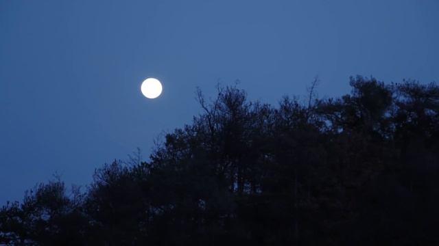 Perspective: Unfinished Business | EP 5 смотреть онлайн