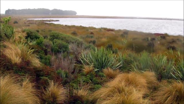 Pokemon NZ Chapter 6: Queenstown to Stewart Island смотреть онлайн