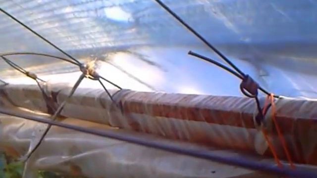 Цветоводство. Тепличный цветочный домашний бизнес. смотреть онлайн