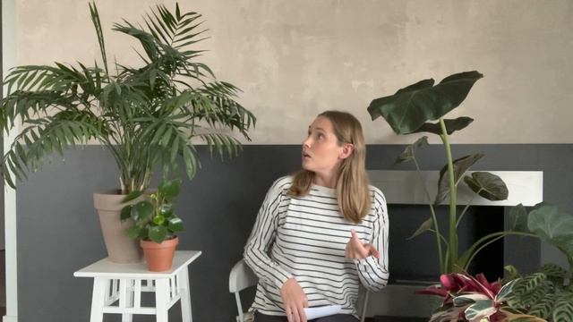 Домовладелец Pro