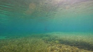 Подводная охота. Азовское - Чёрное море, 04.11.2022г.