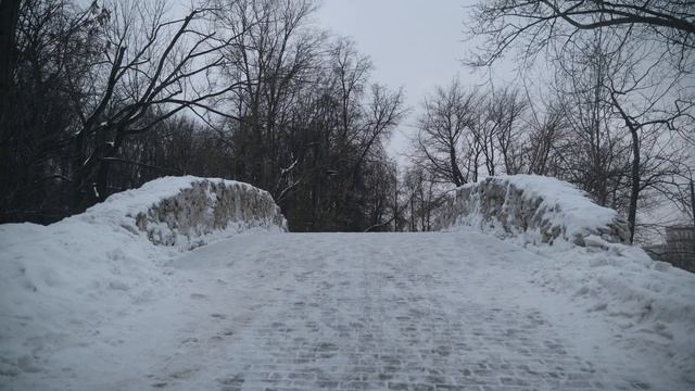 Съемка с высокими значениями ISO на камеру Sony A7III в Slog-2 смотреть онлайн