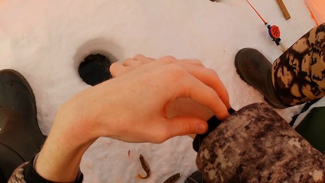 ЗИМНЯЯ РЫБАЛКА 2022 / ОЗЕРО ЯРОВОЕ / МНОГО МЕЛКОГО ОКУНЯ ГДЕ КАРАСЬ? смотреть онлайн