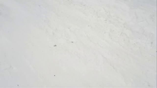 09.03.2012.Екатеринбург.Солдатка.avi смотреть онлайн