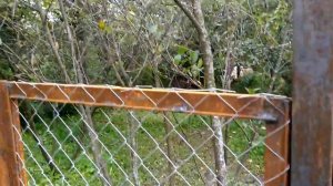 Забор из сетки рабицы своими руками