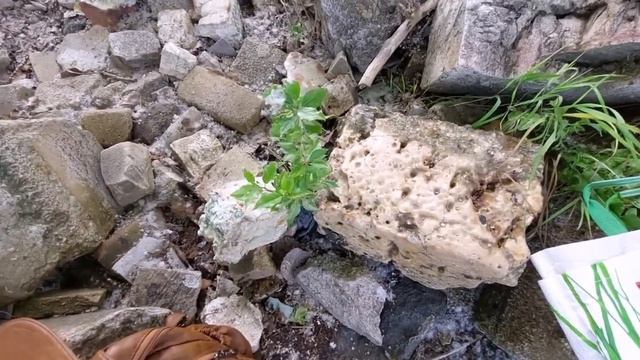 влог - длинный, счастливый день смотреть онлайн