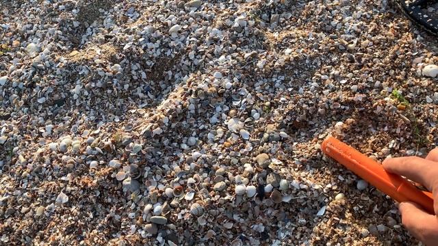 КОП НА ПЛЯЖЕ/РОЕМ ВСЕ!/поиск с Equinox 800! смотреть онлайн