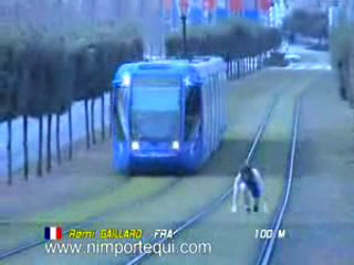 безбашенный спортсмен.. смотреть онлайн