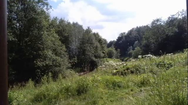 Омар Хайям - Я знаю этот вид напыщенных ослов смотреть онлайн